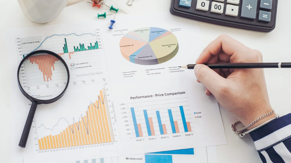 MIS and Business Reports in India MIS and Business Reports in India